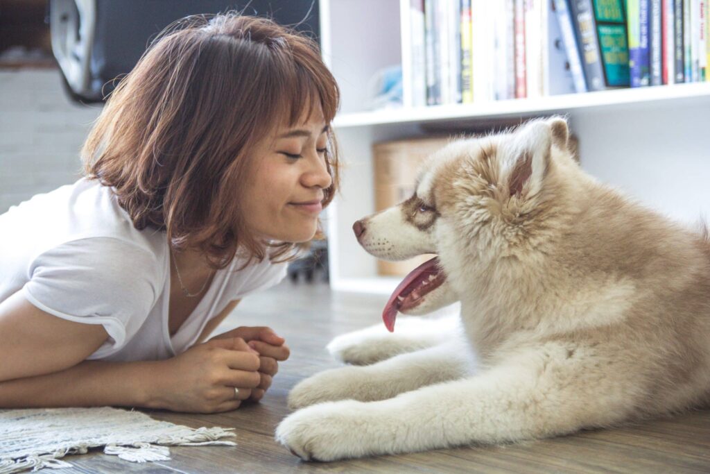 Wat_Kost_Een_Dierenarts_Consultant