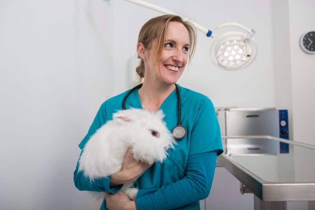 Dierenarts konijn laten castreren