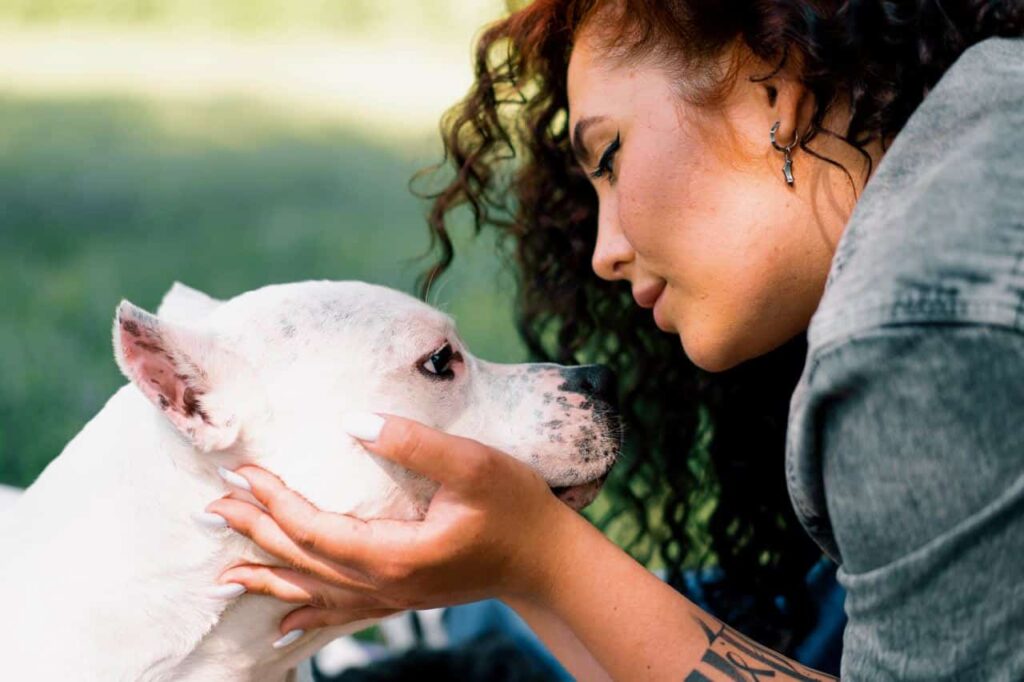 Hond laten cremeren