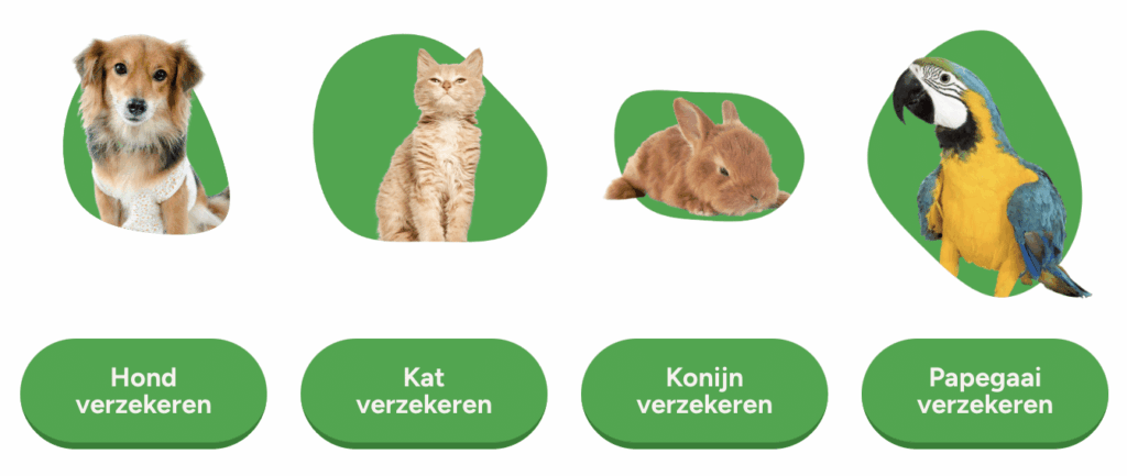 Huisdieren verzekeren
