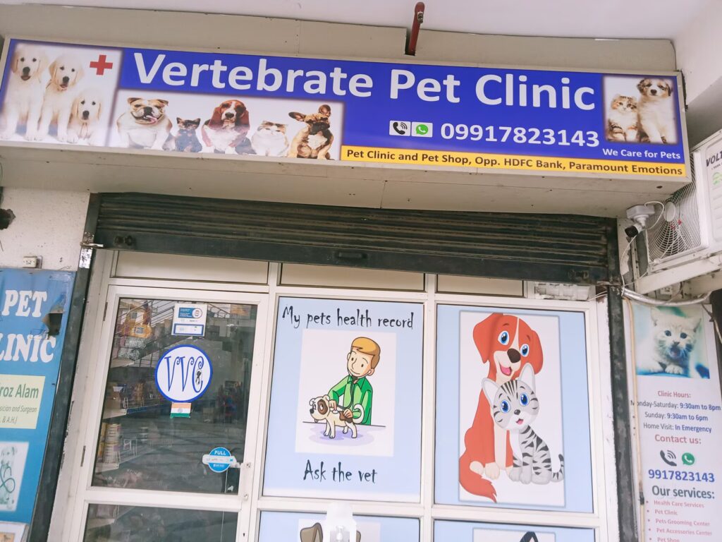 Veterinary Clinic Nouki