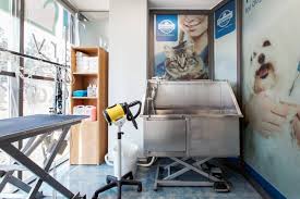 Veterinary Clinic Nouki