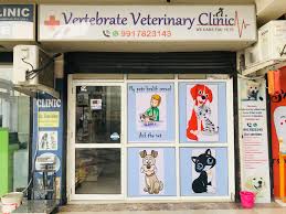 Veterinary Clinic Nouki