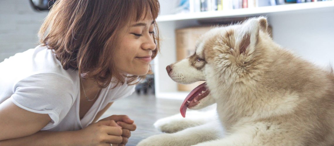 Wat_Kost_Een_Dierenarts_Consultant